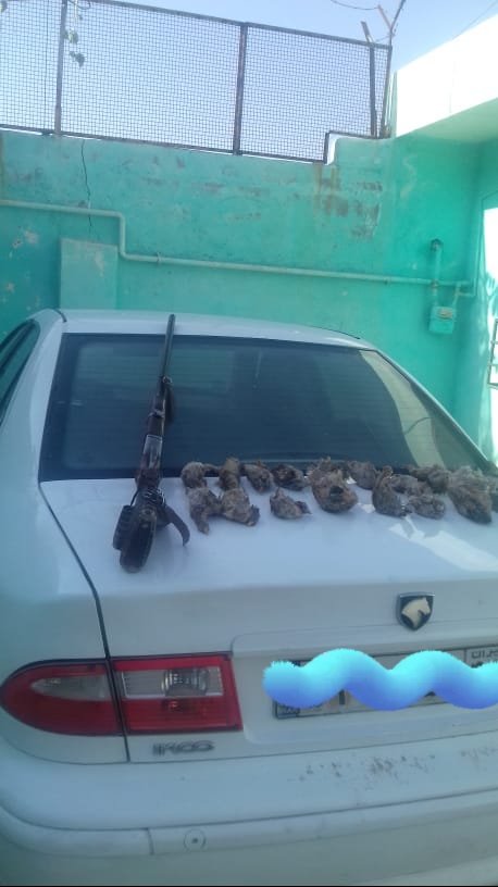 دستگیری ۲ نفر شکارچی غیر مجازدر گچساران+تصاویر