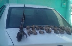 دستگیری ۲ نفر شکارچی غیر مجازدر گچساران+تصاویر