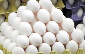 عرضه گسترده تخم مرغ با نرخ جدید از امروز