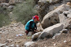 بذرپاشی، پویشی برای سرزندگی جنگل‌های کهگیلویه و بویراحمد