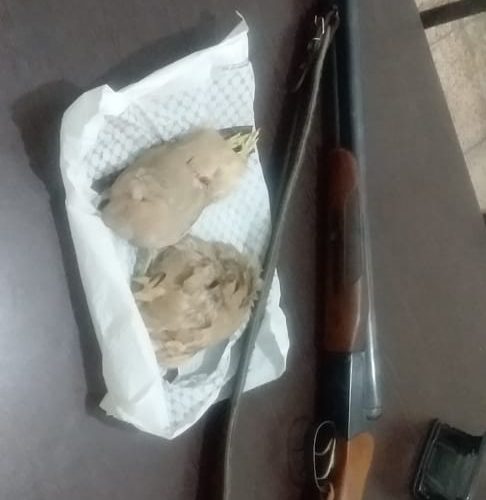 دستگیری ۴نفر شکارچی غیر مجاز در گچساران