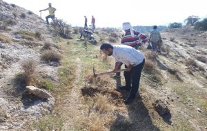 عملیات واکاری در ۸۰۰ هکتار از جنگل های باشت انجام می‌گیرد