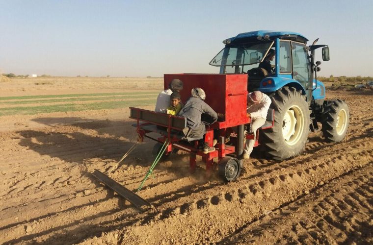 کشت پاییزه در ۱۳۱ هزار هکتار مزرعه کهگیلویه و بویراحمد هدفگذاری شد