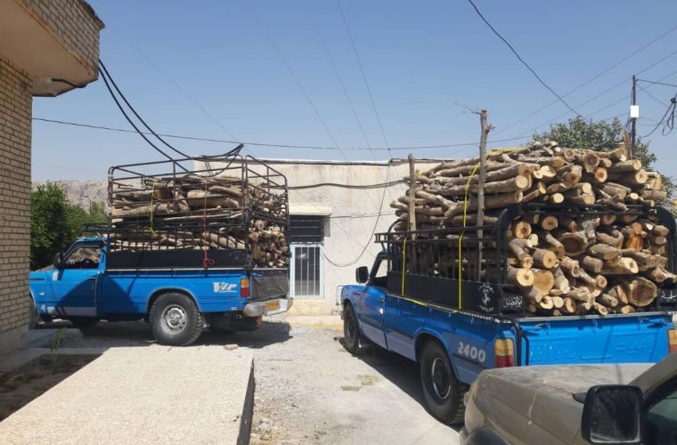 امسال ۸۸هزار کیلوگرم زغال وهیزم در کهگیلویه و بویراحمد کشف شد