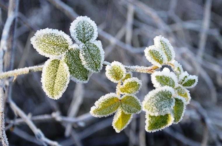دمای هوای گچساران پنج درجه سانتیگراد کاهش یافت