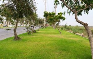 سرانه فضای سبز شهر بوستان کمتر از یک متر مربع است