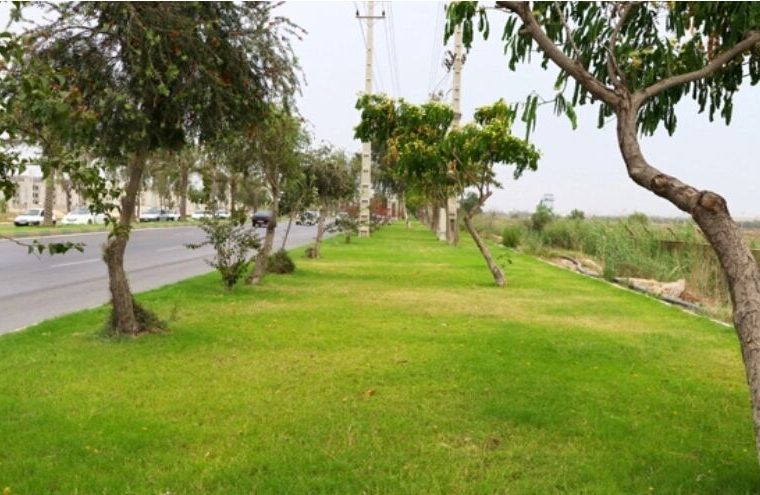 سرانه فضای سبز شهر بوستان کمتر از یک متر مربع است