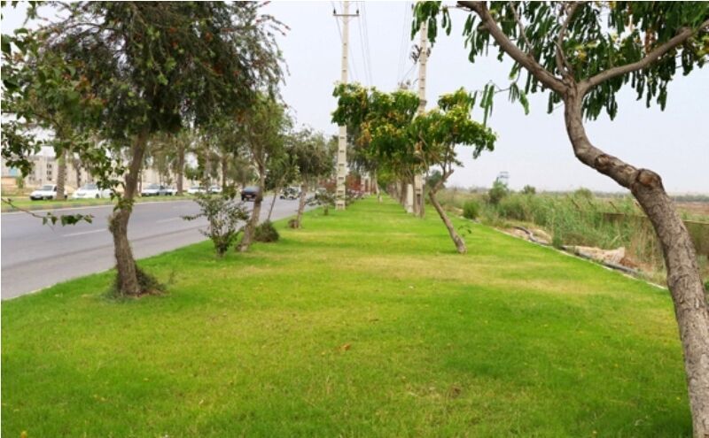 سرانه فضای سبز شهر بوستان کمتر از یک متر مربع است سرانه فضای سبز شهر بوستان کمتر از یک متر مربع است