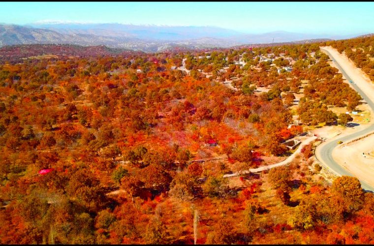 ۴۷۰ میلیارد ریال برای توسعه گردشگری گچساران سرمایه گذاری می‌شود