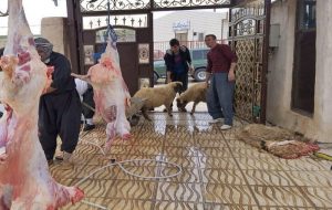 خطر شیوع بیماری در کهگیلویه و بویراحمد با عرضه محصولات دامی غیرمجاز