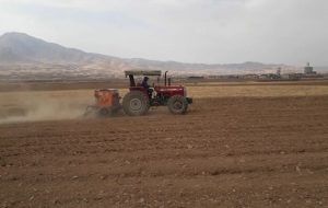 طرح جهش تولید در۱۶هزار هکتار از دیم زارهای کهگیلویه و بویراحمد اجرا شد