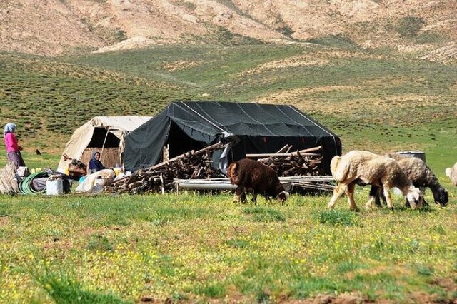 مشکلات عشایر دشت گازال در گچساران مشکلات عشایر دشت گازال در گچساران