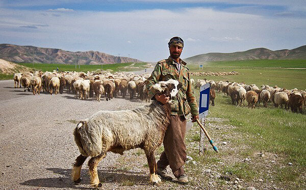 ۱۲۶ میلیارد ریال اعتبار به حوزه عشایر کهگیلویه و بویراحمد اختصاص یافت