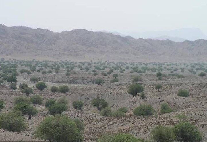 میزان هجوم ریزگرد در گچساران ۳۵ درصد افزایش یافت