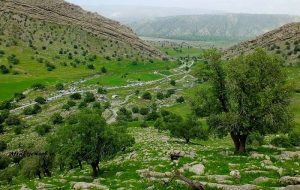«کلگه امیر شیخی»، جاذبه ای گردشگری در کهگیلویه و بویراحمد