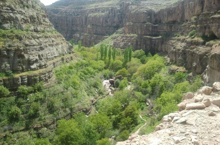 ۲۰۰هزار اصله نهال در کهگیلویه و بویراحمد غرس می شود