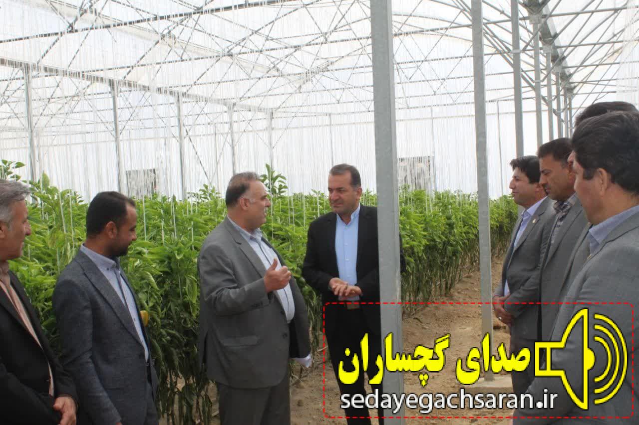 جرایم و سود تسهیلات ۵۷۲۰ کشاورز کهگیلویه و بویراحمد بخشیده شد