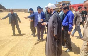 تضمینی ۶۳ هزار تن گندم از کشاورزان در کهگیلویه و بویراحمد  استاندار کهگیلویه و بویراحمد از افزایش سه برابری تولید گندم در استان خبر داد