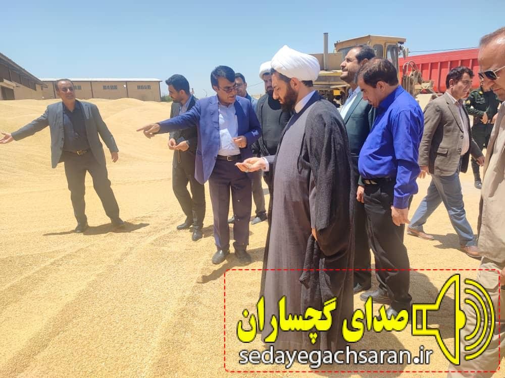 تضمینی ۶۳ هزار تن گندم از کشاورزان در کهگیلویه و بویراحمد استاندار کهگیلویه و بویراحمد از افزایش سه برابری تولید گندم در استان خبر داد تضمینی ۶۳ هزار تن گندم از کشاورزان در کهگیلویه و بویراحمد استاندار کهگیلویه و بویراحمد از افزایش سه برابری تولید گندم در استان خبر داد