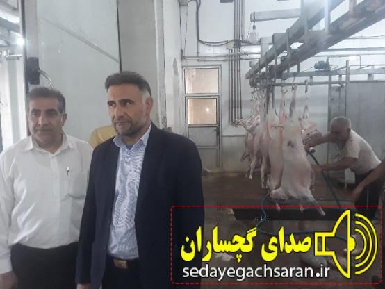 دارفرین از ذبح ،بسته بندی و توزیع ۵۰۰ کیلو گوشت گرم در عید قربان بین نیازمندان در سطح شهرستان گچساران خبر داد. دارفرین از ذبح ،بسته بندی و توزیع ۵۰۰ کیلو گوشت گرم در عید قربان بین نیازمندان در سطح شهرستان گچساران خبر داد.