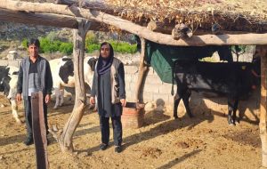 اهوای بیش از ۲۰۰ فقره وام اشتغال در مناطق روستایی گچساران  توسط بنیاد علوی