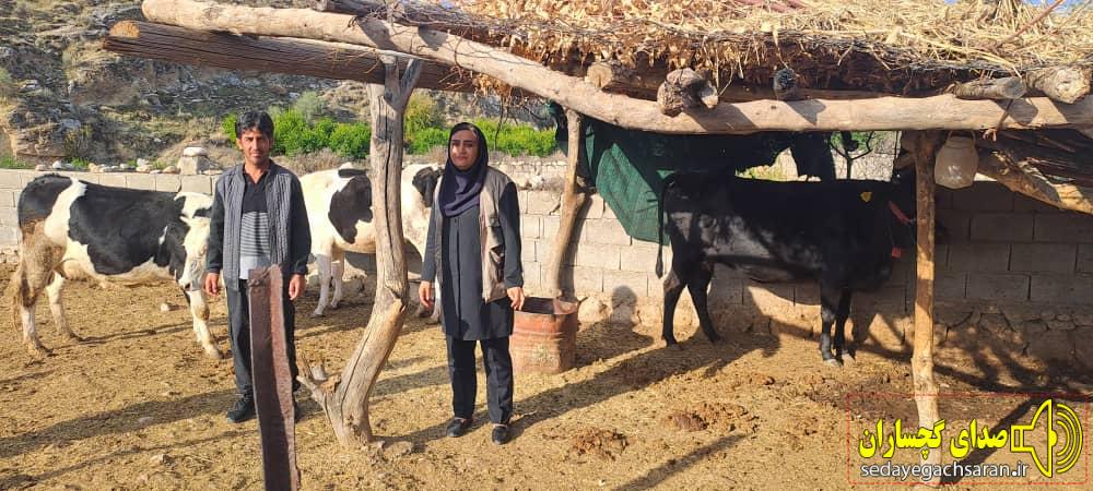 اهوای بیش از ۲۰۰ فقره وام اشتغال در مناطق روستایی گچساران توسط بنیاد علوی اهوای بیش از ۲۰۰ فقره وام اشتغال در مناطق روستایی گچساران توسط بنیاد علوی