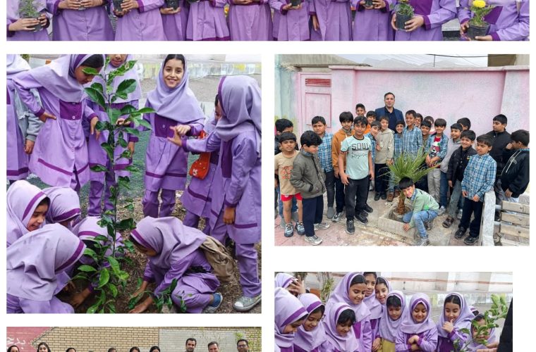 سبز شدن امید در نخل تقی؛ پتروشیمی هنگام ۵۰۰ نهال زندگی کاشت سبز شدن امید در نخل تقی؛ پتروشیمی هنگام ۵۰۰ نهال زندگی کاشت