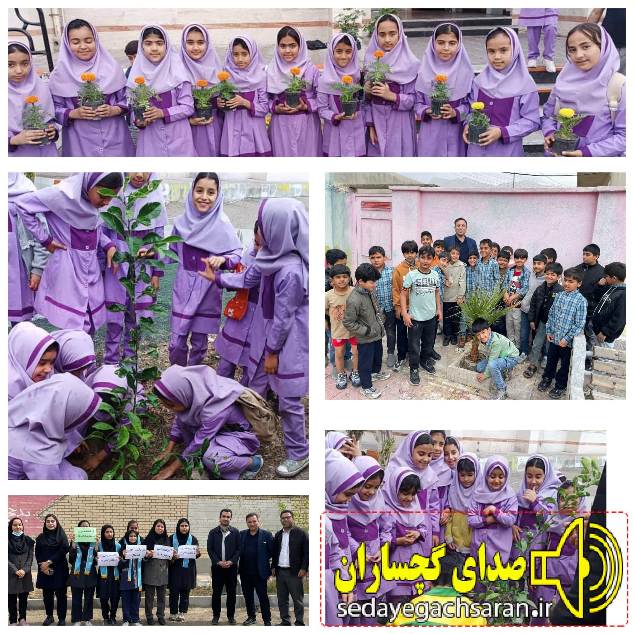 سبز شدن امید در نخل تقی؛ پتروشیمی هنگام ۵۰۰ نهال زندگی کاشت سبز شدن امید در نخل تقی؛ پتروشیمی هنگام ۵۰۰ نهال زندگی کاشت