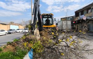 آغاز اجرای طرح اصلاح ساختاری و ساماندهی فضای سبز «بلوار امام حسن(ع)(مستقیم