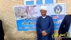 جمع‌آوری ۷۰ میلیارد تومان زکات در استان با مدیریت کمیته امام خمینی و همکاری ائمه جمعه**