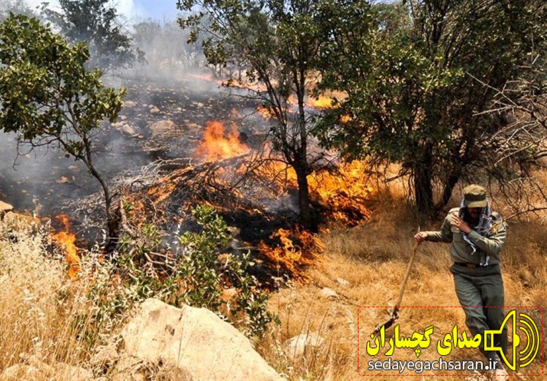آتش سوزی منطقه حفاظت شده دیل پس از ۱۳ ساعت تلاش مهار شد